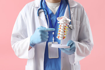 Male doctor pointing at spine model on pink background