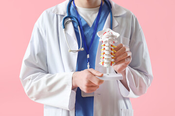 Male doctor holding spine model on pink background