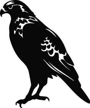 red-tailed hawk  silhouette