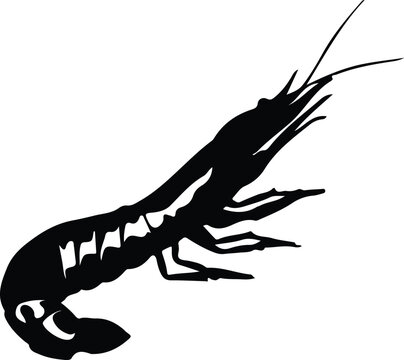 recommend clip art: shrimp  silhouette