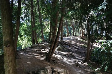 Buttes-Chaumont park in Paris