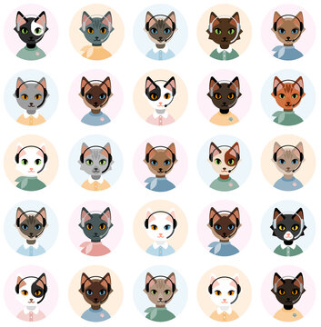 Isolated images in a flat style on a white background of cats Support Service operators with a headset. Different fur color and breed.
