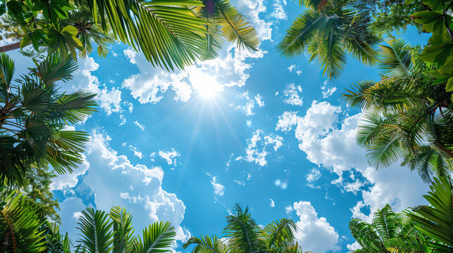 white clouds and tree with blue sky, beautiful tropical background.