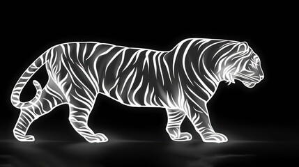 Fototapeta na wymiar a white tiger standing on top of a black floor next to a white tiger standing on top of a black floor.