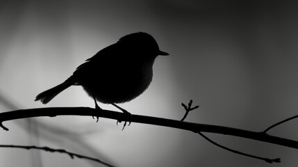 a black and white photo of a small bird perched on a twig of a tree branch in front of a gray sky. - obrazy, fototapety, plakaty