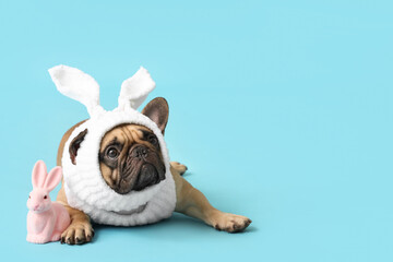 Cute French bulldog in bunny costume and toy rabbit on blue background. Easter celebration