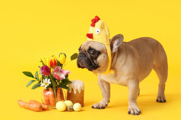 Cute French bulldog in chick hat with beautiful flowers, Easter cake and eggs on yellow background