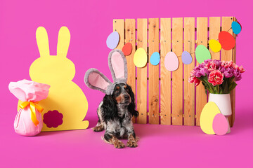 Cute cocker spaniel in bunny ears with Easter gift egg, paper rabbit, beautiful tulips and wooden fence on purple background