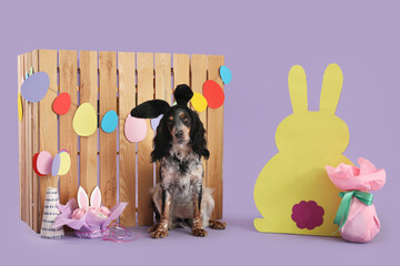 Cute cocker spaniel in bunny ears with Easter cake, gift egg, paper rabbit and wooden fence on...