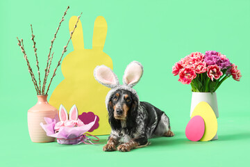 Cute cocker spaniel in bunny ears with Easter cake, willow branches, beautiful tulips, paper eggs...