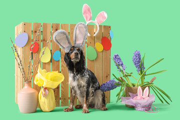 Cute cocker spaniel in bunny ears with Easter cake, gift egg, willow branches, beautiful flowers...