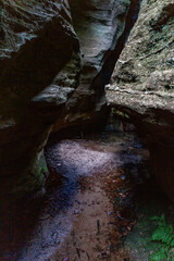 Tiger Snake Canyon, Wollemi National Park, NSW, Australia