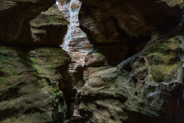 Fototapeta premium Tiger Snake Canyon, Wollemi National Park, NSW, Australia