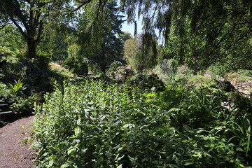 parisian botanical garden , Jardin Des Plantes
