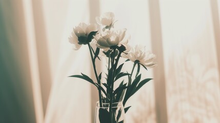 a vase filled with white flowers sitting on top of a table next to a window covered in white drapes.