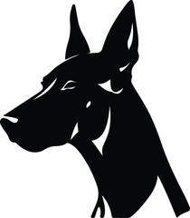 Pharaoh Hound  portrait