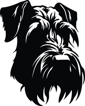 Giant Schnauzer  portrait