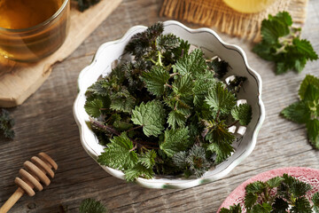 Fresh stinging nettles in a white bowl
