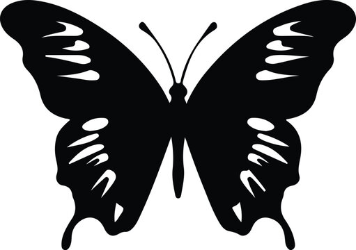 Ulysses butterfly  silhouette