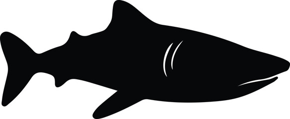 whale shark  silhouette