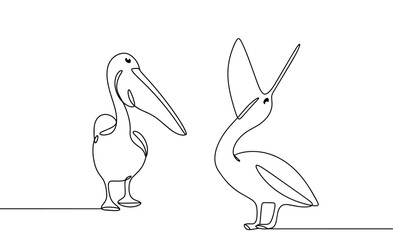 Pelican. Large bird. Open beak.