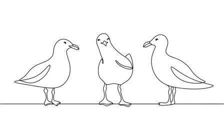 Gull. Albatross. Sea bird