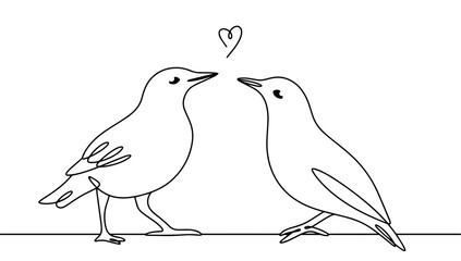 Starling. Songbird. Pair