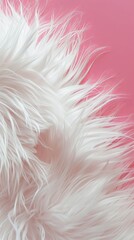 white fur on a pink background.