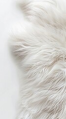 Obraz premium white fur background.