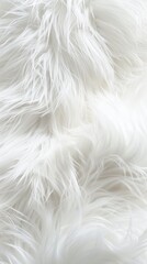 Obraz premium white fur background.
