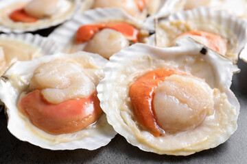 Fresh raw scallops in shells on grey table, closeup
