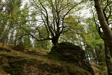 The Gorbeia Natural Park is the largest natural park in the Basque Country, Spain