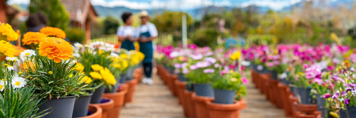 Panoramic view of garden center with colorful flowers in pots for sale in spring summer season
