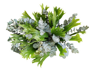 Bunch of climbing bird's nest fern and Silver Drop eucalyptus leaves, tropical foliages flower bouquet floral arrangement