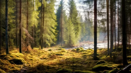 Foto op Aluminium Lush greenery thrives in the tranquil forest, where towering trees and abundant foliage create a picturesque scene of untouched nature. © Людмила Мазур