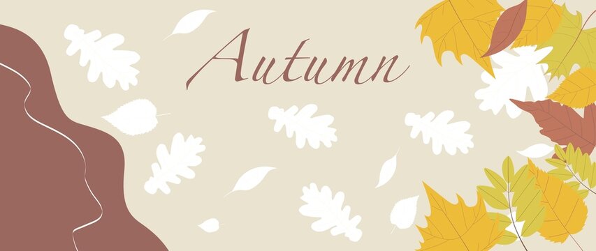 Flat illustration. Autumn poster or banner template. The picture shows leaves on a light yellow background. Flat illustration for postcard, shop, invitation, discount...