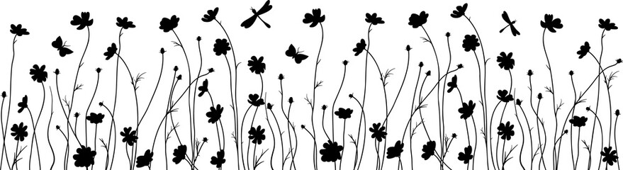 cosmos flowers black silhouette, floral decorative bottom edge - obrazy, fototapety, plakaty