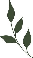 dark green branch flat decorative art leaves