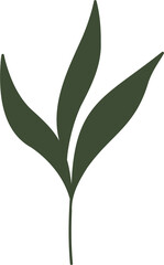 dark green leaves