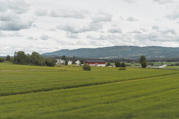 Summer clouds over the fields of Toten, Norway.