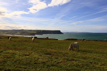 Obraz premium Cap d'Ajo is located near the town of Bareyo, in the province of Cantabria in Spain.