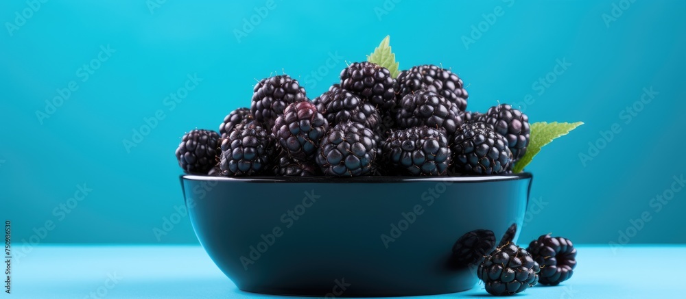 Canvas Prints A high-resolution close-up of a blue ceramic bowl overflowing with juicy blackberries sits on a vibrant blue table, showcasing the concept of a bountiful harvest.