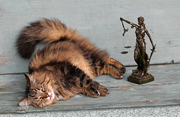 Lustiges Katzenfoto mit einer Justitia Figur. Eine Katze hat ein falsches Gerichtsurteil bekommen