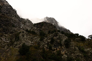 The Picos de Europa National Park is a National Park in the Picos de Europa mountain range, in northern Spain