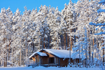 Enveloped in Serene Winter Solitude, A Majestic Cabin Amidst a Snow-Clad Forest