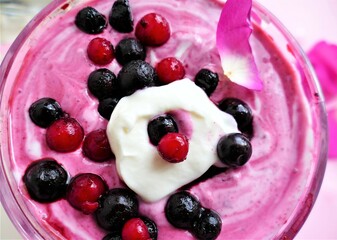 Red berries and fruit cream desert background