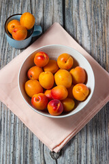 Apricots from the Orchard: Freshness and Flavor in a Picture