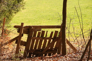 A wooden gate is broken and leaning against a tree - 750998758