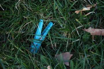 A blue clothespin is laying on the grass - 751004360