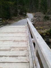 Fototapeta premium spring in the mountains, Tatras, Poland